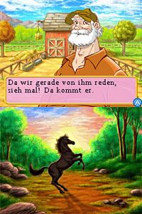 Abenteuer auf dem Reiterhof - Das schwarze Wildpferd [Nintendo DS], 1