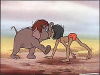 Das Dschungelbuch [DVD], 7