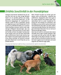 Mein Hund im Flegelalter - Die Hundeschule, 6