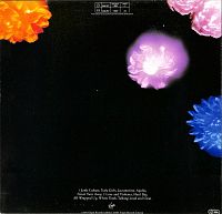 Junk Culture [Vinyl], 1