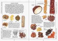 RSPB Birdfeeder Pocket Book, 5