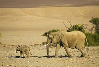 Unsere Erde [DVD], 7