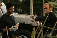 CSI: Miami - Staffel 5.2 [DVD], 5