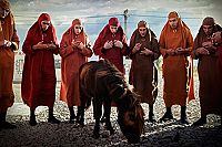 Jacky im Königreich der Frauen  [Blu-ray], 6