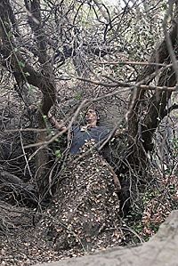 Perfide [Blu-ray], 2