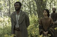 Free state of Jones [Blu-ray], 2