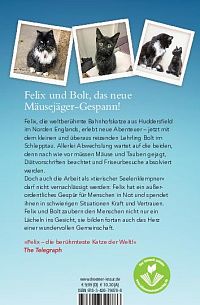 Mit Volldampf voraus, Felix!, 1