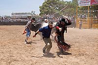 Crocodile Daddy - Ein total verrückter Roadtrip [Blu-ray], 2