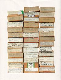 Foto Schönwetter Glarus, 1