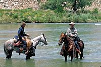 All die schönen Pferde [DVD], 2