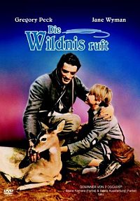 Die Wildnis ruft [DVD], 1