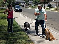 National Geographic - Notruf Hund  [DVD], 2