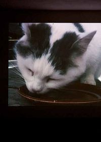 Peter Fischli - David Weiss, 5