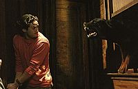 The Breed [Blu-ray], 9