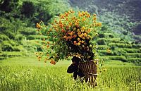 Die Weisheit des Buddhismus Tag für Tag, 2