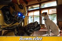 Bumblebee [Blu-ray], 6