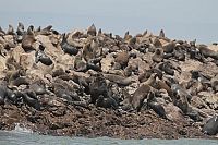 Unsere Erde - Unsere Meere  [DVD], 9