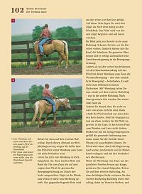 Westernreiten - Das Praxisbuch, 6