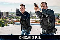 Chicago P. D. - Staffel 6 [DVD], 2