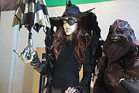 Die Hexen von Oz [DVD], 2