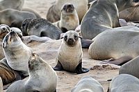 Naturparadiese Afrikas [Blu-ray], 6