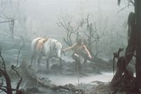 Die unendliche Geschichte [DVD], 3