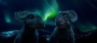Sur la terre des dinosaures [DVD], 1
