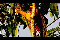 Die schwimmenden Gärten von Phantasia [Blu-ray], 3