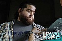 Hawaii Five-0 - Staffel 7 [DVD], 8