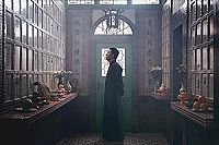 Ip Man 4 - The Finale [DVD], 6