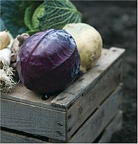 Herbst Winter Gemüse, 1