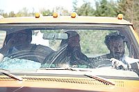 Cabin Fever - The new outbreak [Blu-ray], 7