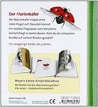 Der Marienkäfer, 1