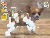 Nintendogs - Labrador & Friends [Nintendo DS], 5