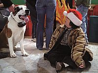 Die schönsten Hundefilme [DVD], 2