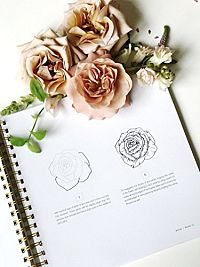 How To Draw Modern Florals, 2