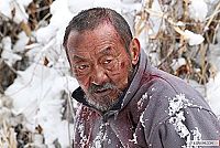 Unter Bestien - Der alte Mann und die Wölfe [DVD], 4