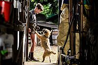 Junges Licht [Blu-ray], 5