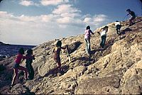 Unternehmen Rosebud [DVD], 5