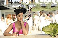 Drei Hochzeiten zu viel [Blu-ray], 7