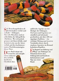 Schlangen, 1