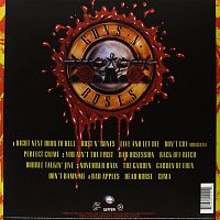 Use Your Illusion I [Vinyl], 1