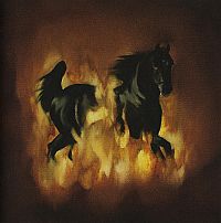 Are the Dark Horse [CD], 1