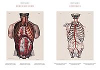 Atlas of Human Anatomy and Surgery, 3