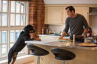 Show Dogs [Blu-ray], 6