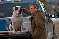 Nora Roberts - Das Leuchten des Himmels [DVD], 6