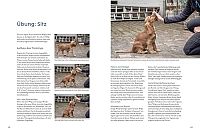 Welpentraining mit Martin Rütter, 5