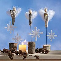 Weihnachts-Deko NATUR, 1