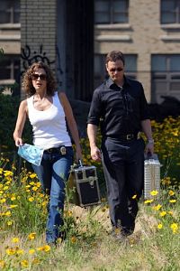 CSI: NY - Staffel 5. 1 [DVD], 2