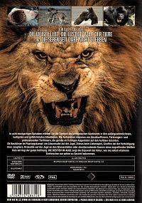 Die Bestien im Auge [DVD], 1